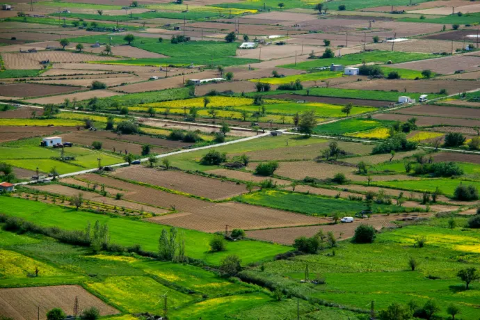 green grass field during daytime